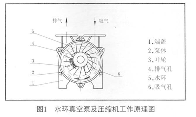 圖1 水環(huán)真空泵及壓縮機工作原理圖 圖1 水環(huán)真空泵及壓縮機工作原理圖